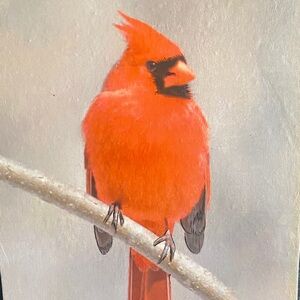 Scarlet Cardinal Bird Art Print wooden plaque wall decor